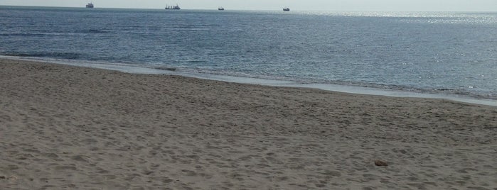 Централен плаж (Central Beach) is one of Burgas.