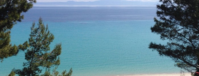 Alexander The Great Hotel Beach is one of Lieux qui ont plu à Emrah.