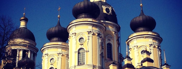 Our Lady Of Vladimir Church is one of Православный Петербург/Orthodox Church in St. Pete.