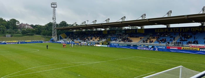 Hohe Warte - Vienna Stadion is one of Spielorte.