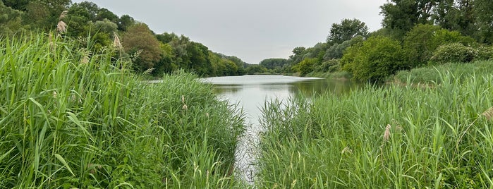 Nationalpark Donau-Auen is one of ☀️.