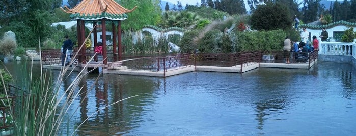 Parque China is one of Locais curtidos por Enrique.