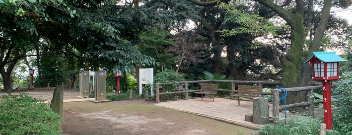 天王森公園 is one of 駐車場.