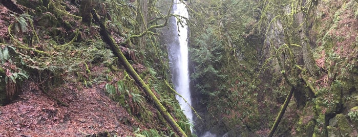 Niagara Falls - Goldstream Park is one of Tempat yang Disukai Damon.