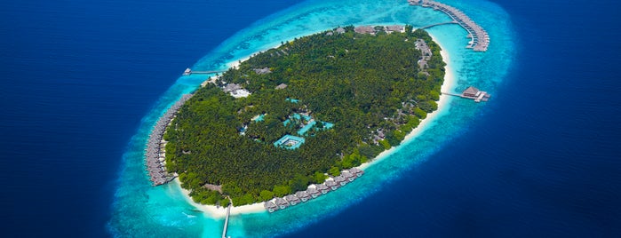 Dusit Thani Maldives is one of Reiseziele.