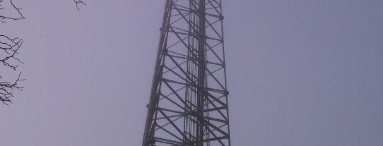US Cellular Tower - Greenback is one of On the road again.