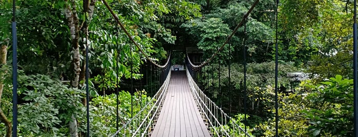 Gunung Mulu National Park is one of Rexさんのお気に入りスポット.