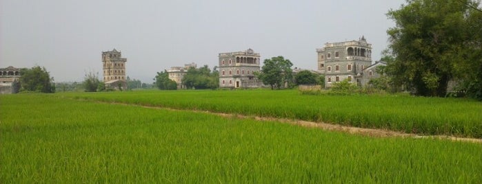 Kaiping Diaolou and Villages is one of UNESCO World Heritage Sites in China.