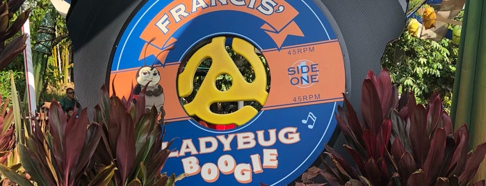 Francis' Ladybug Boogie is one of Amusement Parks.