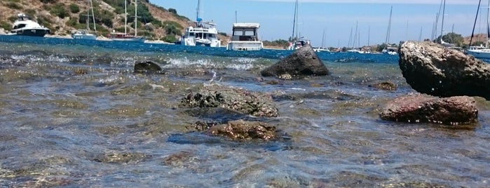 Myndos Sailing is one of Gumusluk(Bodrum).