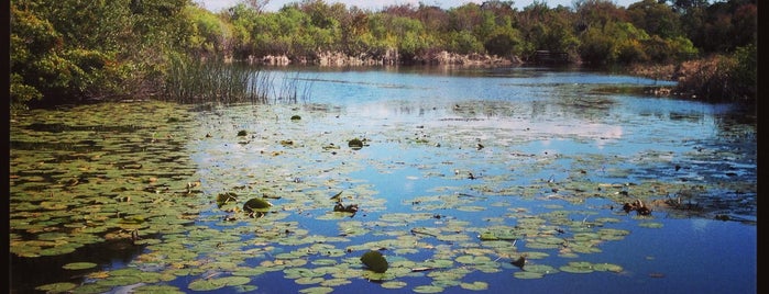 Boyd Hill Nature Preserve is one of Guide to Saint Petersburg's best spots.