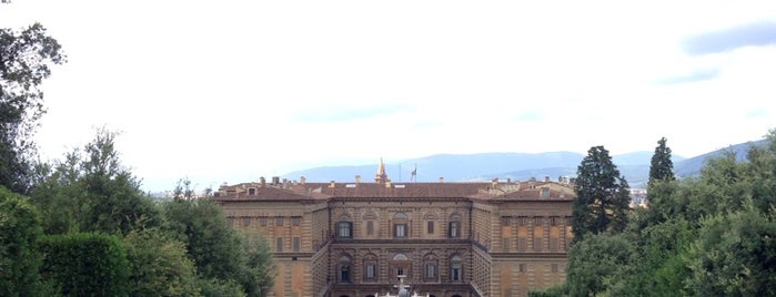 Palazzo Pitti is one of Firenze.