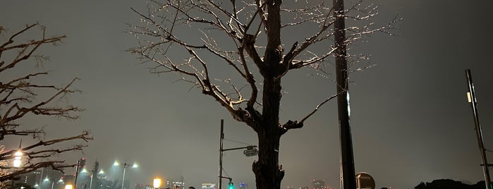 Wadakura Fountain Park is one of สถานที่ที่ Ryadh ถูกใจ.