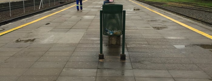 Estación Don Torcuato [Línea Belgrano Norte] is one of Lugares donde estuve.