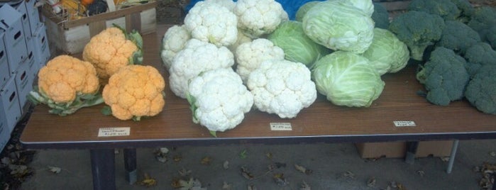 Our Produce Stand is one of Farms.