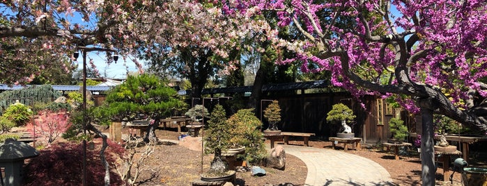 The 13 Best Places For Hidden Spots In Oakland