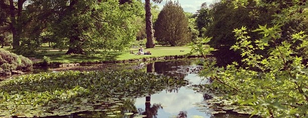 Jardín Botánico de la Universidad de Cambridge is one of Lugares guardados de Kapil.