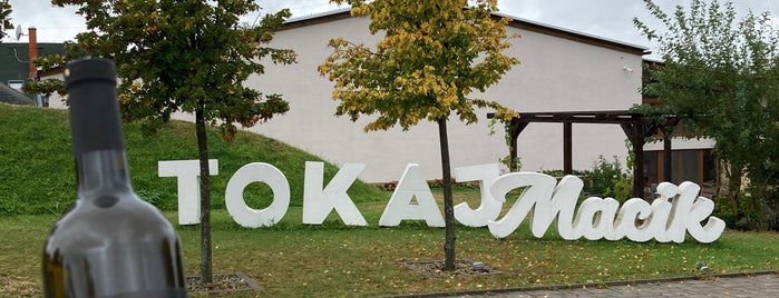 Tokaj Macik Winery is one of 🍽Wine 🍷.
