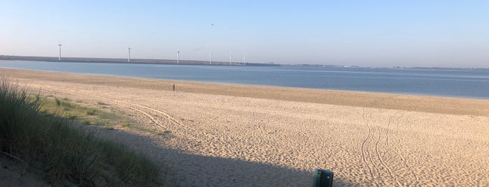 Strand  Houten Paardjes is one of Lugares favoritos de Theo.