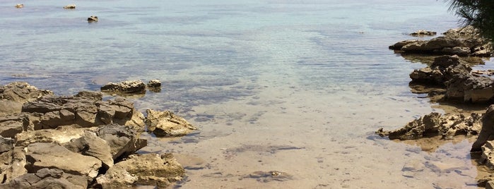 Drače Beach is one of Kimmieさんの保存済みスポット.