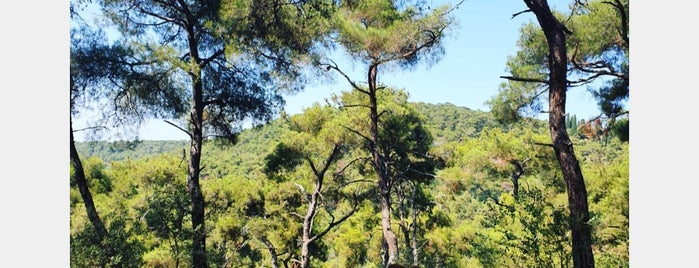 Aşıklar Yolu is one of istanbul gidilecekler anadolu 2.