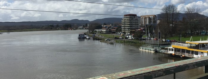 Puente Pedro de Valdivia is one of Must-visit Great Outdoors in Valdivia.