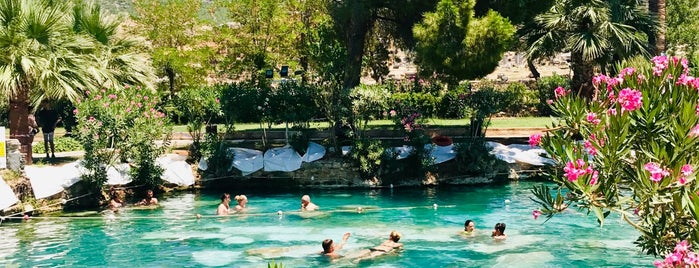 Antique Pool is one of Ephesus and Pamukkale.