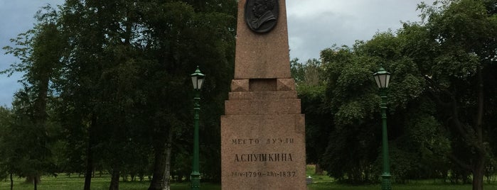 Place of a prospective duel of A. Pushkin is one of Orte, die Ruslan gefallen.