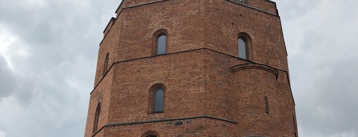 Gedimino Pilies Bokštas | Gediminas’ Tower of the Upper Castle is one of Ruslan 님이 좋아한 장소.