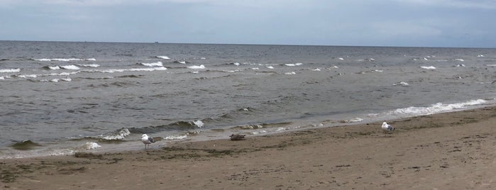 Dubultu pludmale | Dubulti beach is one of สถานที่ที่ Ruslan ถูกใจ.