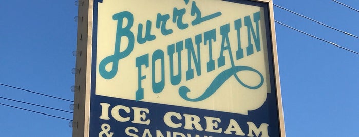 Burr's Fountain is one of Ice cream.