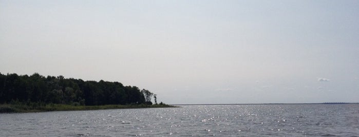 Дикий пляж is one of Парк «Дубки».