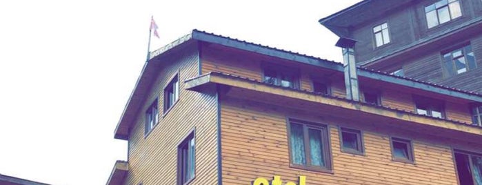 Ayder Paradise Otel is one of şahin'in Beğendiği Mekanlar.