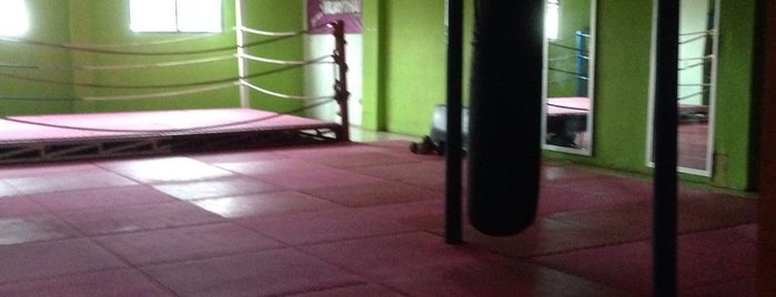 CENTERBASE Muaythai Camp is one of Amanda's fave hangout spots!.