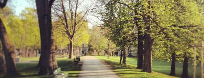 Maßmannpark is one of Munchen 🌭🍻🏰⚽🏎🎶🔎🇩🇪.