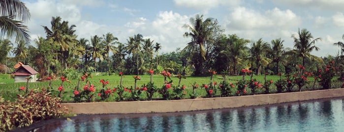 Inata Bisma Hotel is one of Bali places.