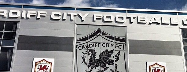 Cardiff City Stadium is one of UK & Ireland Pro Rugby Grounds.