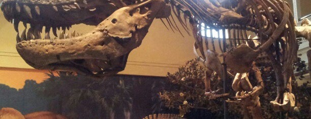 Carnegie Museum of Natural History is one of Pittsburgh.
