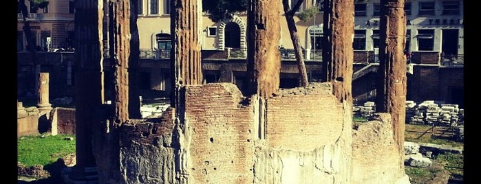 Largo di Torre Argentina is one of Roma, it.