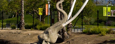 La Brea Tar Pits & Museum is one of Places to go.