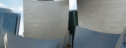 Walt Disney Concert Hall is one of Vacation America.