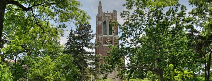 Universidad Estatal de Míchigan is one of Sigma Pi Travels.