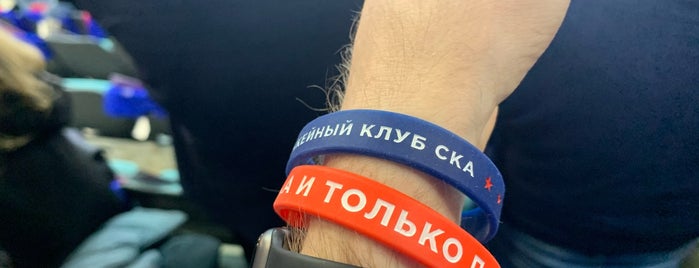 Магазин ХК СКА "Hockey Club" is one of 3.
