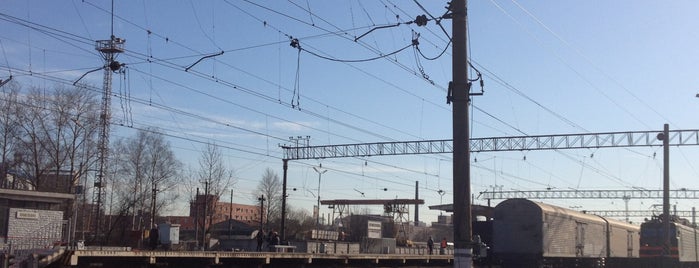 Ж/д станция «Кушелевка» is one of Станции жд.