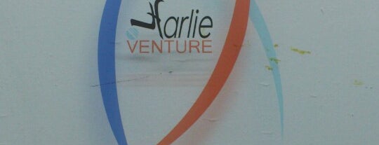 HARLIE VENTURE office KL branch is one of My spot!.