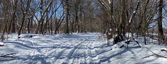 Intervale Community Farm is one of Vermont.