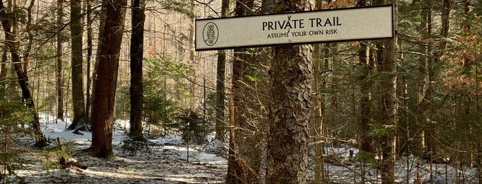 Wiessner Woods Trail is one of Stowe.