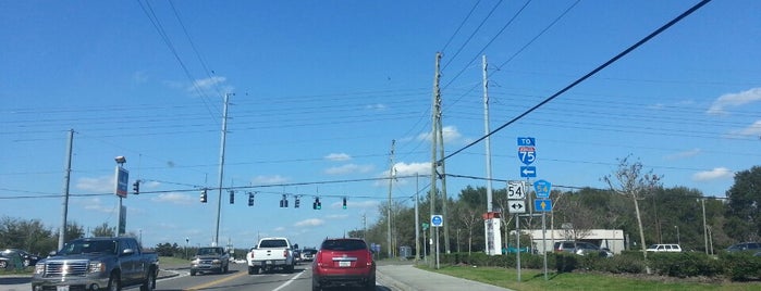 SR 54 and Eiland Blvd is one of creature of habit.
