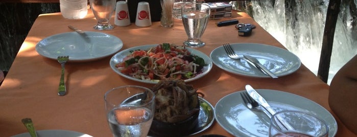 Tandır Restaurant is one of muğla.