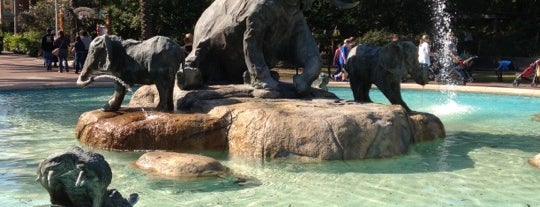 Audubon Zoo is one of New Orleans's Best Entertainment - 2012.